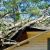 Saint Augustine Fallen Tree Damage by DRT Restoration, LLC